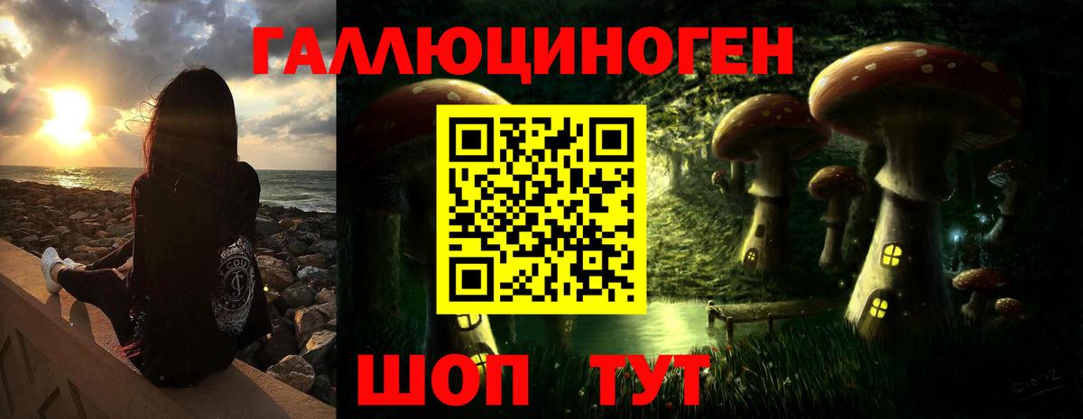 Псилоцибиновые грибы мухоморы Ачхой-Мартан